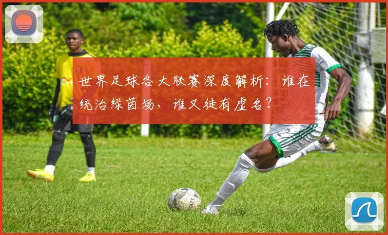 世界足球各大联赛深度解析：谁在统治绿茵场，谁又徒有虚名？